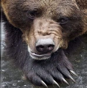 Meet your Posher, Mike